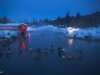 Chena Hot Spring pool (hot = good)