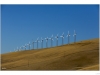 Wind turbines installed on the Alatamont pass near the San Francsico Bay.