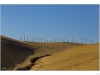 Wind turbines installed on the Alatamont pass near the San Francsico Bay.