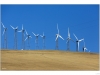 Wind turbines installed on the Alatamont pass near the San Francsico Bay.