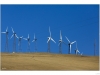 Wind turbines installed on the Alatamont pass near the San Francsico Bay.