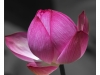 IMG_1131-Edit