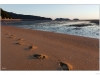 Marahau beach