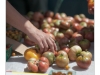Napa Farmer's Market
