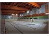 The swimming pool