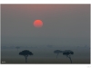 Sunrise over the maasai mara