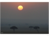 Sunrise over the maasai mara
