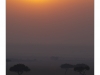 Sunrise over the maasai mara
