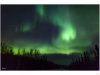 Aurora Boeralis in Alaska