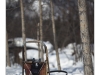 Dog sled