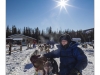 Musher and her dogs