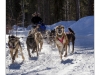 Chena resort has a set of dog sled tour available.