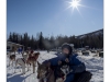 Chena HotSpring's musher (the person who leads the dog sled)  with her alpha dogs.