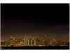 Night life