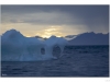 Iceberg
