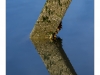RRV_3858-Edit