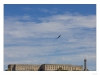 Stealth bomber