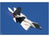 F-22 raptor (I think)