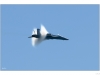 Vapor around the plane