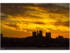 Coit tower at sunset