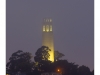 The coit tower in the fog