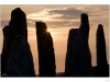 WL7A5658