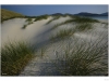 Perfect beach in Scotland
