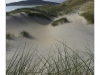 WL7A5727-Edit