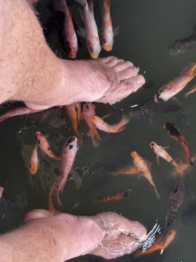 Sri Lanka: Stilt Fishermen, the Madu River & Galle (Part 4) img 8496 2